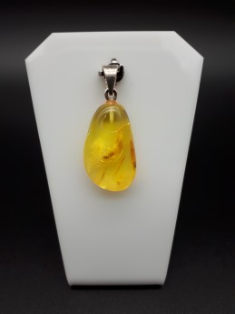 Pendentif ambre