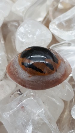 Agate cyclope