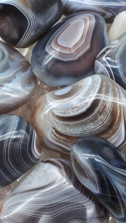 Agate du Botswana