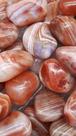 Agate rouge rubanée