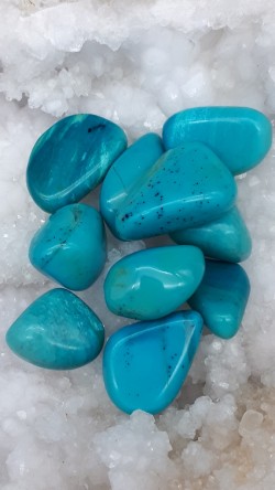 Chrysocolle bleu