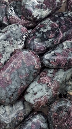 Eudialyte