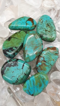 Turquoise du Mexique