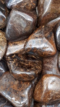 Bronzite