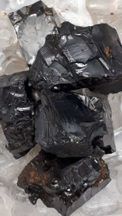 Noble shungite