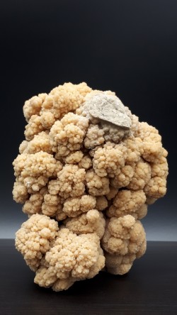 Aragonite coralloïde