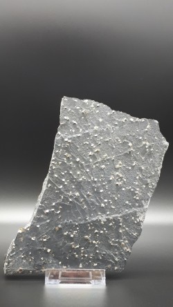 Pyrite sur ardoise