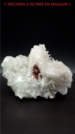 Scolecite et apophyllite verte