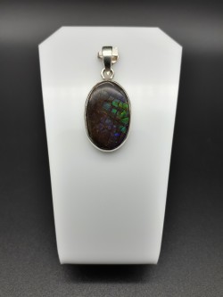 Pendentif ammolite