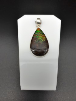 Pendentif ammolite