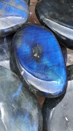 Galet plat labradorite