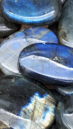 Galet plat labradorite