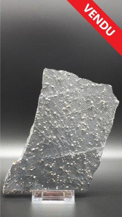 Pyrite sur ardoise