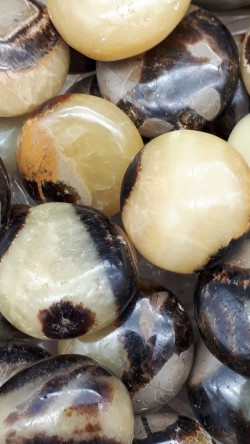 Septaria