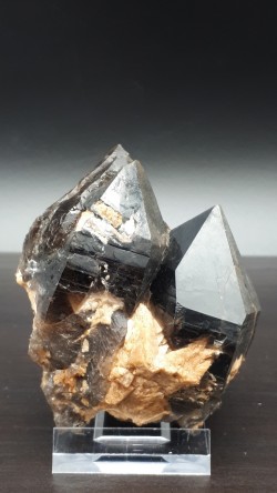 Quartz morion