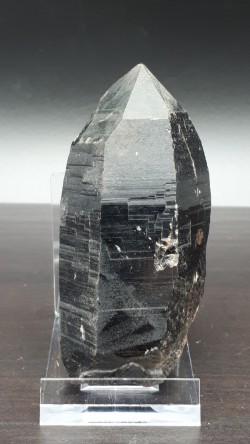 Quartz morion