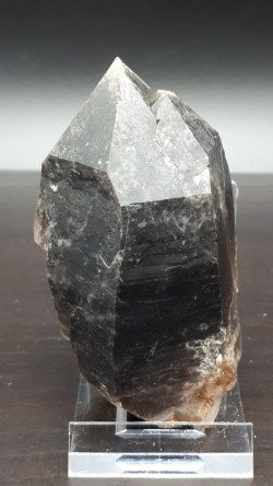 Quartz morion