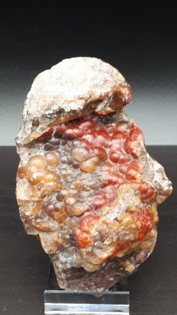 Calcédoine botryoïdale