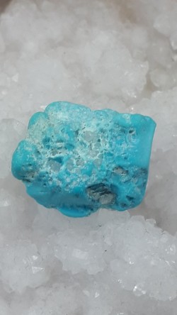 Turquoise brute Sleeping...