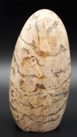 Forme libre zébradorite
