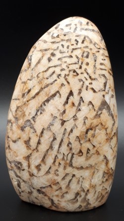 Forme libre zébradorite