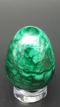 Œuf malachite