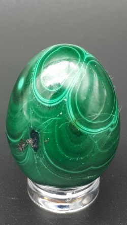 Œuf malachite