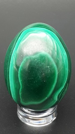 Œuf malachite