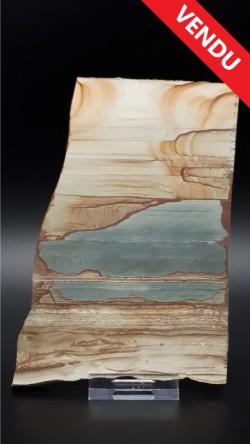 Tranche de jaspe de l'Oregon