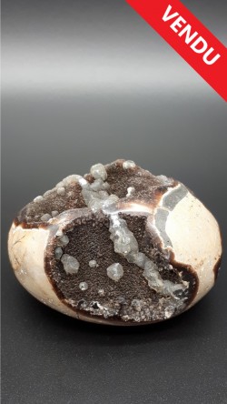 Septaria "sauvage"