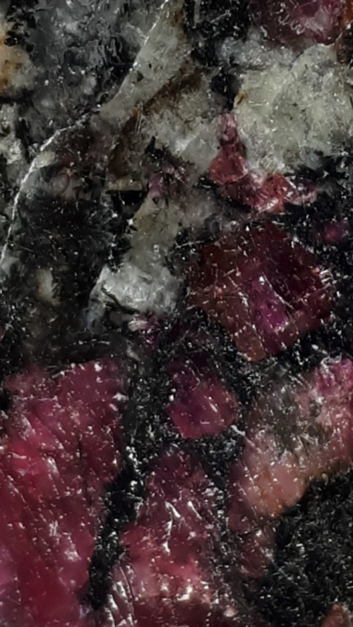 Eudialyte