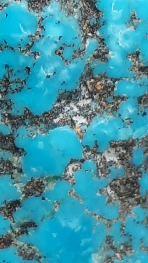 Turquoise du Mexique brute stabilisée