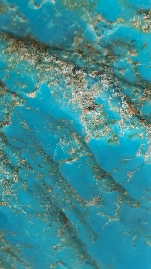 Turquoise du Névada brute stabilisée