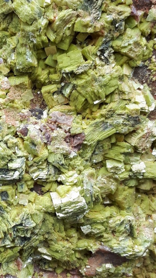 Autunite