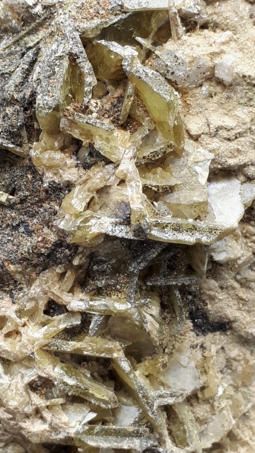 Sphène (Titanite)