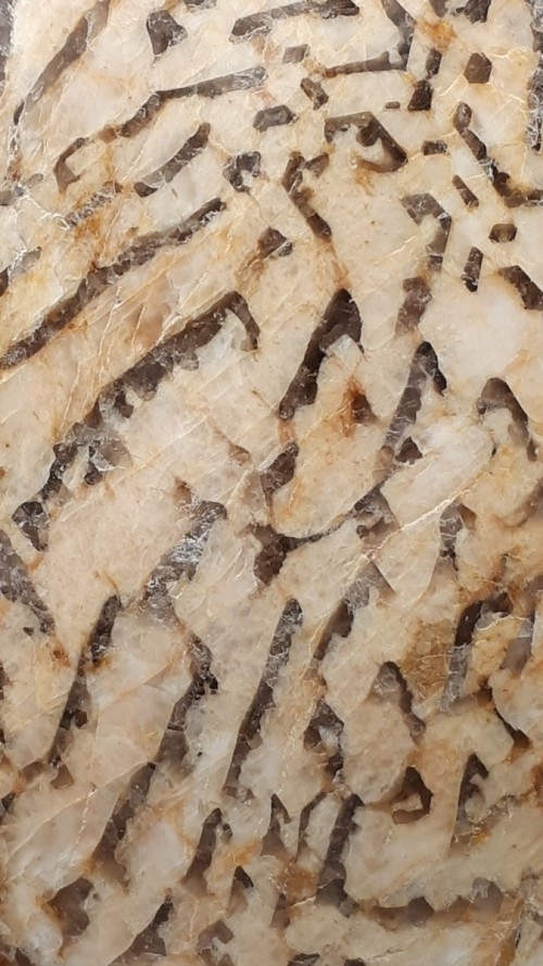 Zébradorite