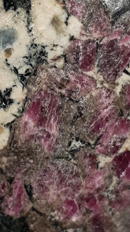 Eudialyte