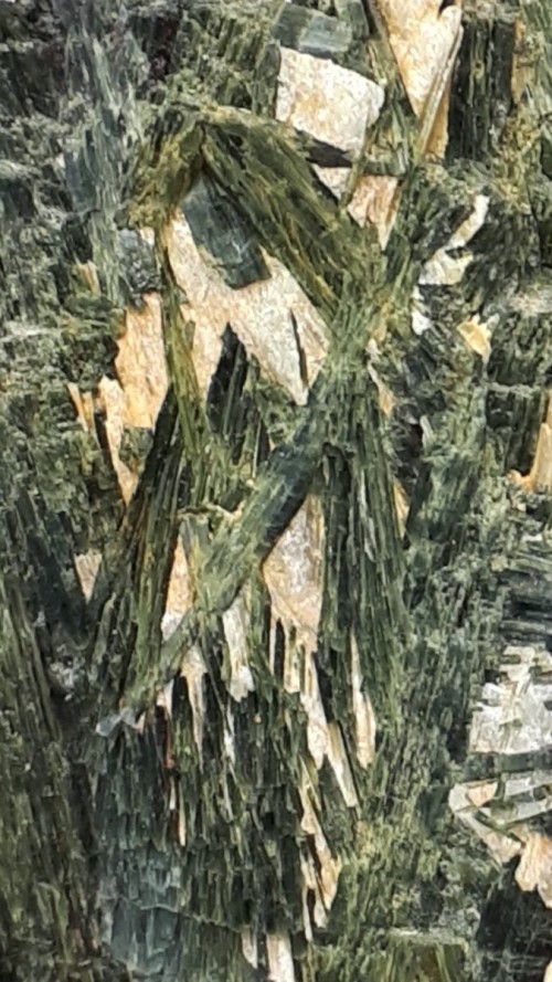 Actinolite