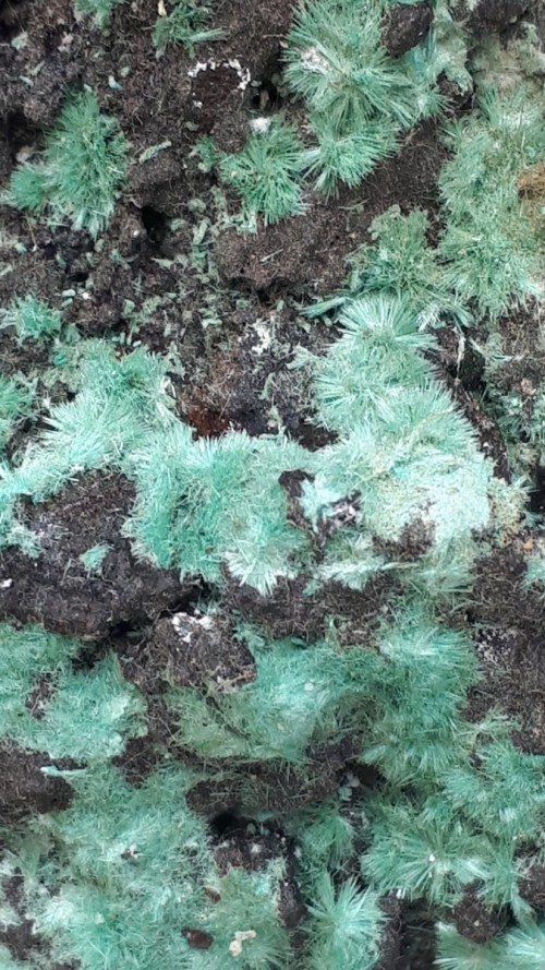 Aurichalcite