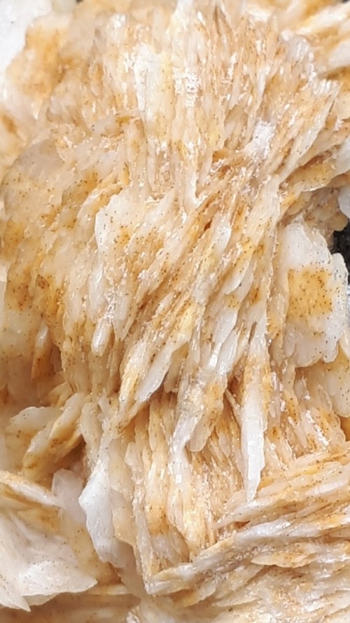 Baryte