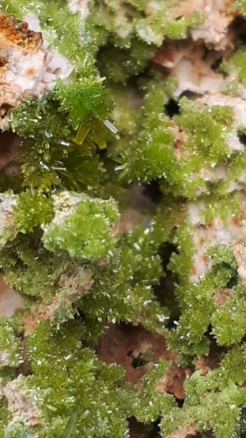 Pyromorphite