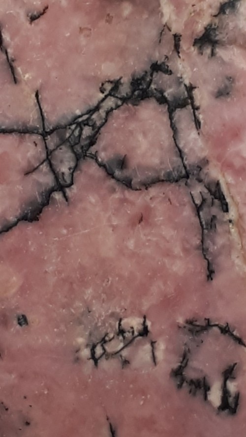 Rhodonite d'Afrique